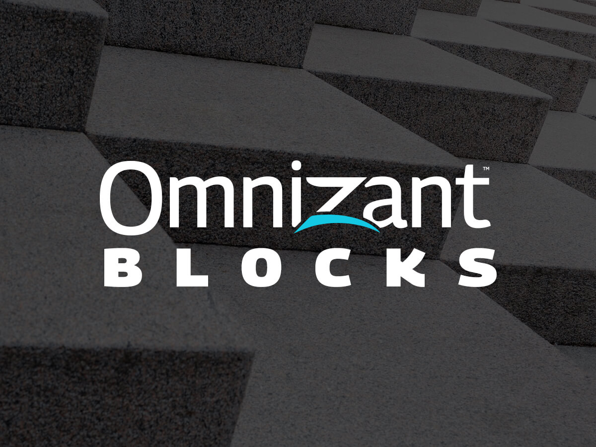 Omnizant Blocks theme